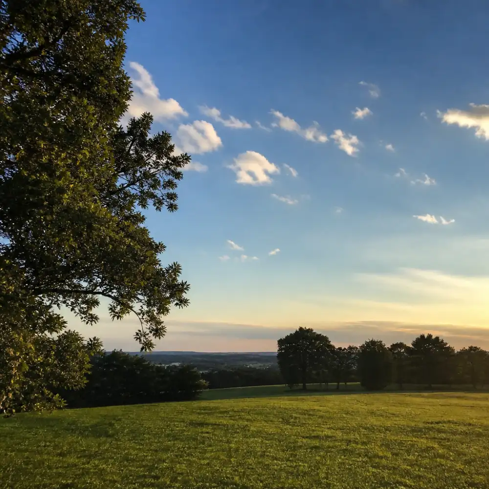 Fotografie Iphone 7