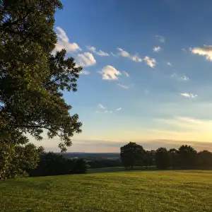 Fotografie Iphone 7